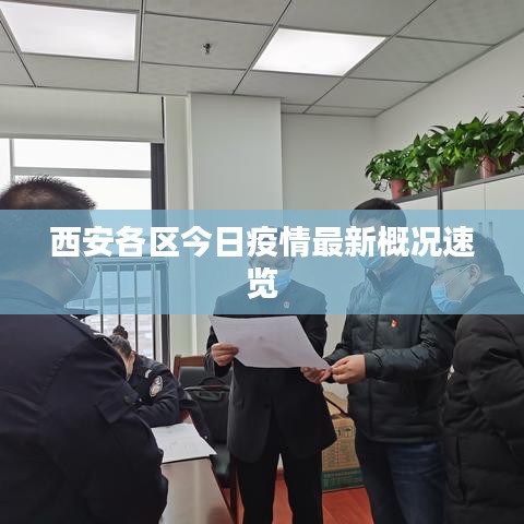 成功案例 第5页