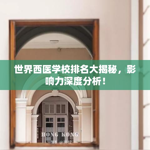 世界西医学校排名大揭秘，影响力深度分析！