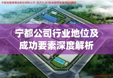 宁都公司行业地位及成功要素深度解析