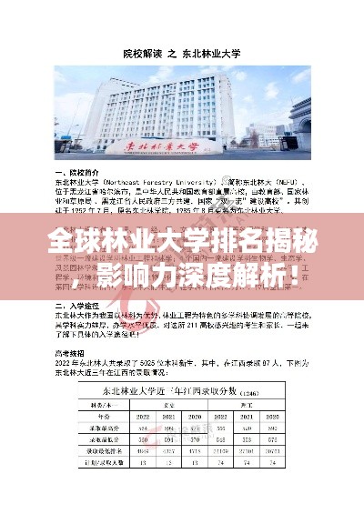 全球林业大学排名揭秘，影响力深度解析！