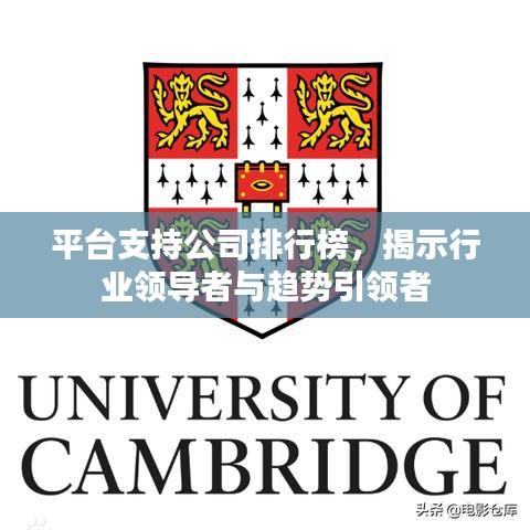 平台支持公司排行榜，揭示行业领导者与趋势引领者