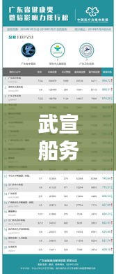 武宣船务公司行业排名及影响力不容小觑