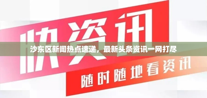 沙东区新闻热点速递，最新头条资讯一网打尽