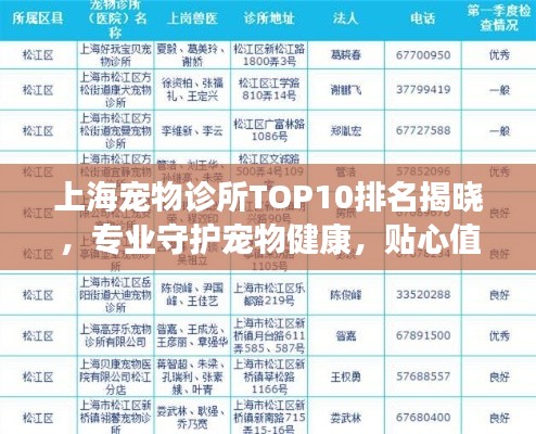 上海宠物诊所TOP10排名揭晓，专业守护宠物健康，贴心值得信赖的诊所！