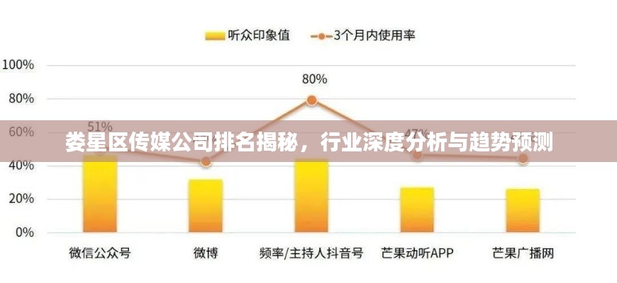 娄星区传媒公司排名揭秘，行业深度分析与趋势预测
