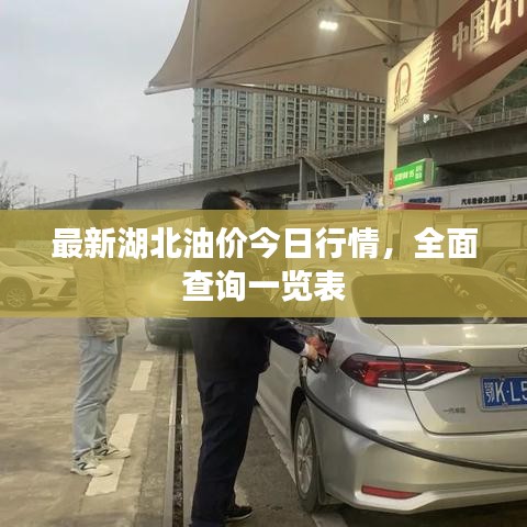 免责声明 第4页