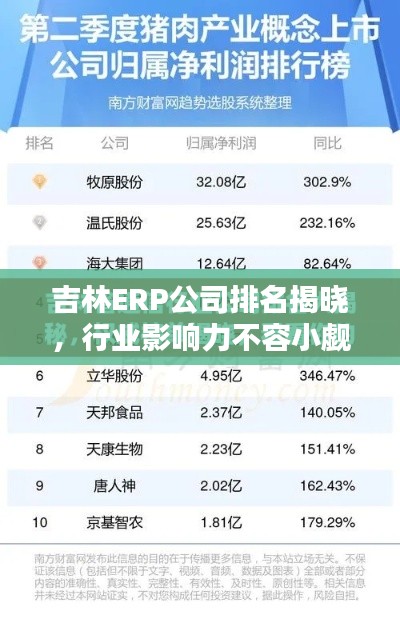 吉林ERP公司排名揭晓，行业影响力不容小觑