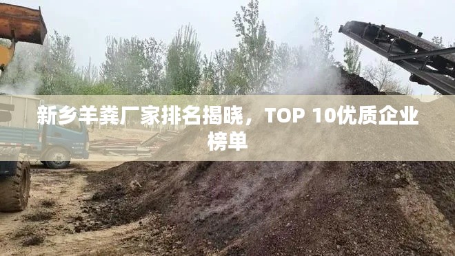 网站建设 第4页