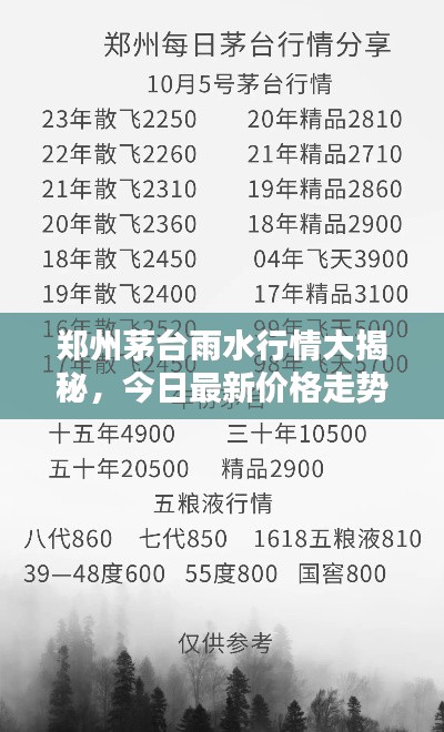 郑州茅台雨水行情大揭秘，今日最新价格走势！