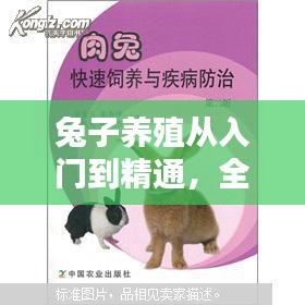 兔子养殖从入门到精通，全方位指南助你成为专家
