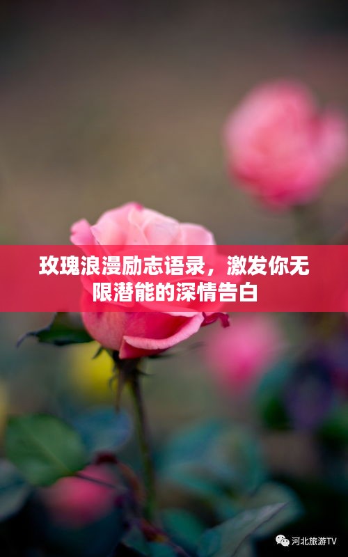 玫瑰浪漫励志语录，激发你无限潜能的深情告白