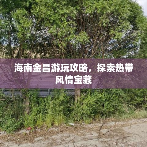 海南金昌游玩攻略，探索热带风情宝藏