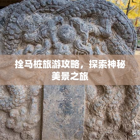 拴马桩旅游攻略，探索神秘美景之旅