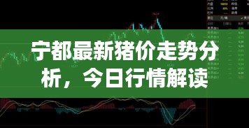 宁都最新猪价走势分析，今日行情解读