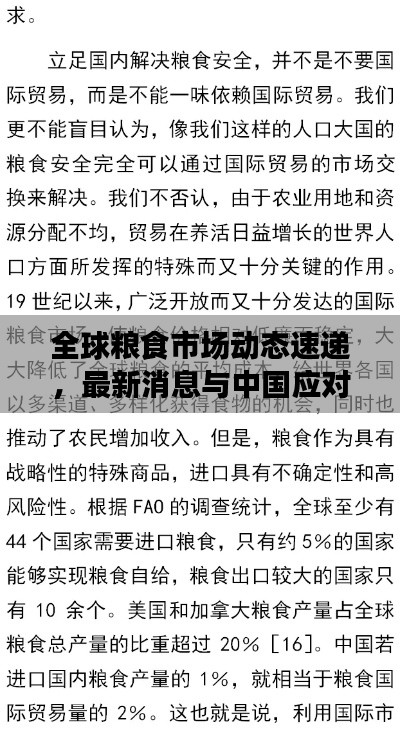 全球粮食市场动态速递，最新消息与中国应对策略