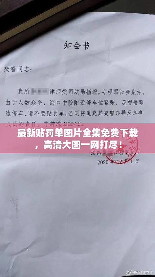 最新贴罚单图片全集免费下载，高清大图一网打尽！