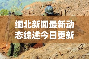 缅北新闻最新动态综述今日更新