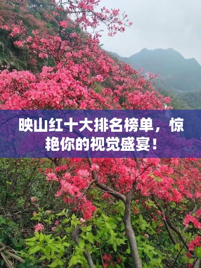 映山红十大排名榜单，惊艳你的视觉盛宴！