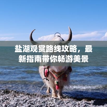 盐湖观赏路线攻略，最新指南带你畅游美景
