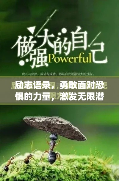 励志语录，勇敢面对恐惧的力量，激发无限潜能！
