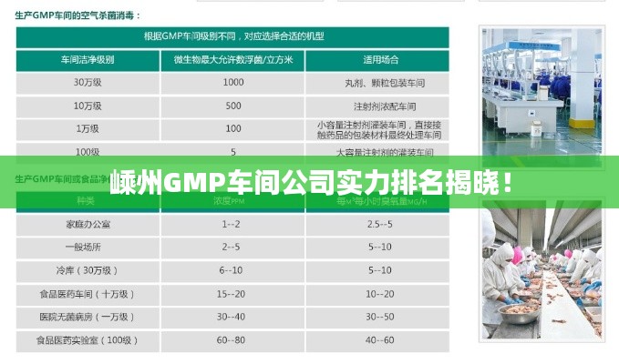 嵊州GMP车间公司实力排名揭晓！