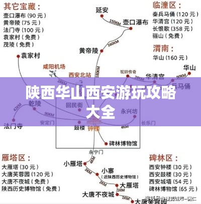 成功案例