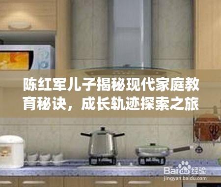陈红军儿子揭秘现代家庭教育秘诀，成长轨迹探索之旅