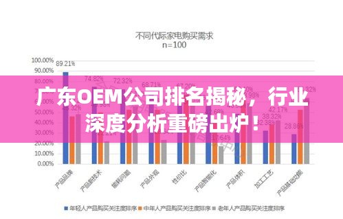 广东OEM公司排名揭秘，行业深度分析重磅出炉！