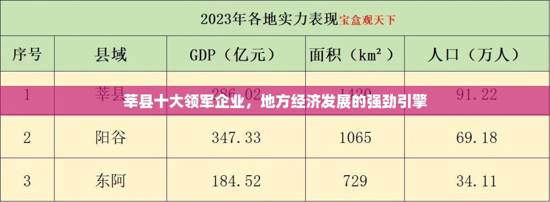 莘县十大领军企业，地方经济发展的强劲引擎