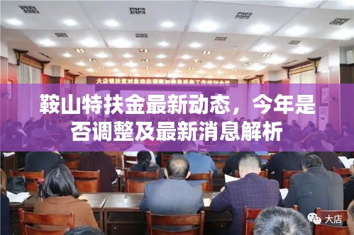 鞍山特扶金最新动态，今年是否调整及最新消息解析