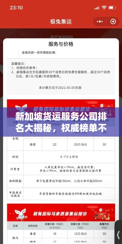 新加坡货运服务公司排名大揭秘，权威榜单不容错过