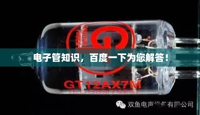 电子管知识，百度一下为您解答！