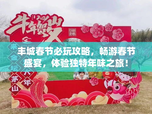 丰城春节必玩攻略，畅游春节盛宴，体验独特年味之旅！