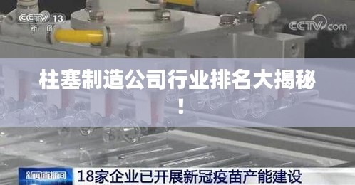 柱塞制造公司行业排名大揭秘！