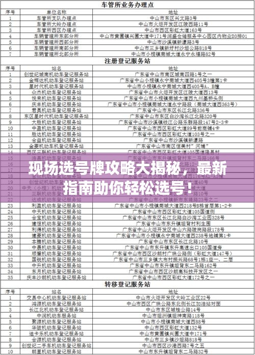现场选号牌攻略大揭秘，最新指南助你轻松选号！