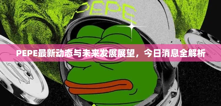 PEPE最新动态与未来发展展望，今日消息全解析