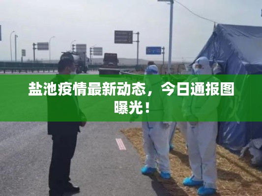 盐池疫情最新动态，今日通报图曝光！