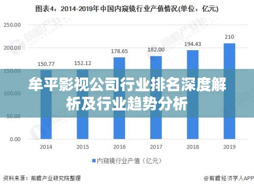 牟平影视公司行业排名深度解析及行业趋势分析