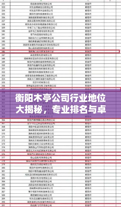 衡阳木亭公司行业地位大揭秘，专业排名与卓越表现！