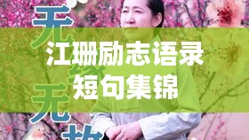 江珊励志语录短句集锦