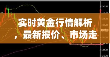 实时黄金行情解析，最新报价、市场走势与投资洞察