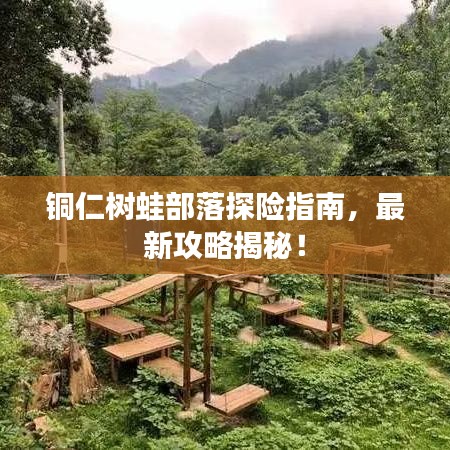 铜仁树蛙部落探险指南，最新攻略揭秘！