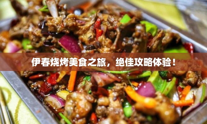 伊春烧烤美食之旅，绝佳攻略体验！
