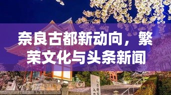 奈良古都新动向，繁荣文化与头条新闻聚焦