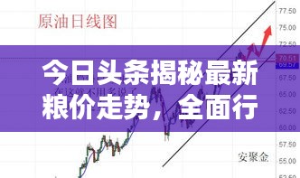 今日头条揭秘最新粮价走势，全面行情分析与预测