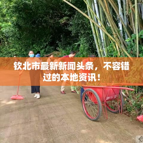 钦北市最新新闻头条，不容错过的本地资讯！