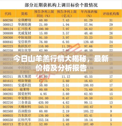 今日山羊羔行情大揭秘，最新价格及分析报告