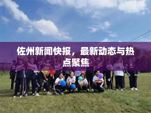 佐州新闻快报，最新动态与热点聚焦