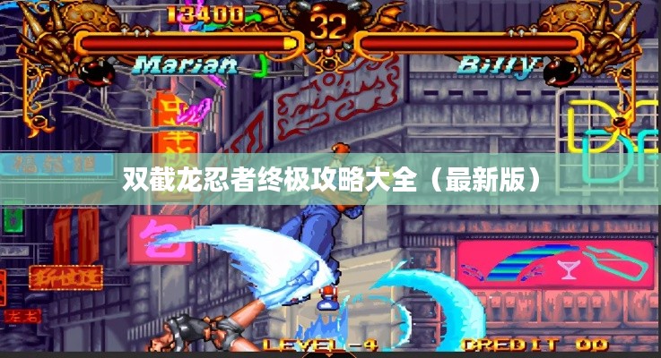 双截龙忍者终极攻略大全（最新版）