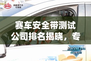 赛车安全带测试公司排名揭晓，专业评测带你了解行业顶尖企业